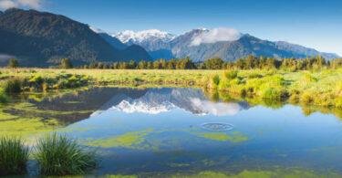 Experience the Beauty of New Zealand's Scenery