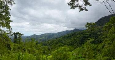 Explore Tropical Rainforests in Costa Rica